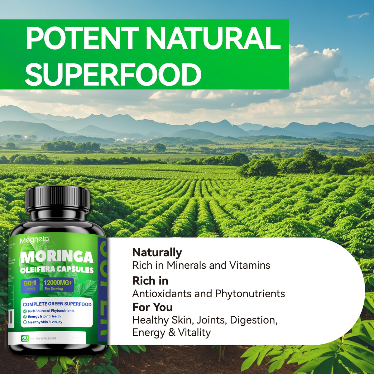 https://img.kwcdn.com/product/fancy/29f63e66-e3e4-4a1e-a807-e374fef884b9.jpg