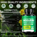 https://img.kwcdn.com/product/algo_check/auto/7092b6ec0c0018cee3afffd0d9b6cdaa_1758901578414.jpg