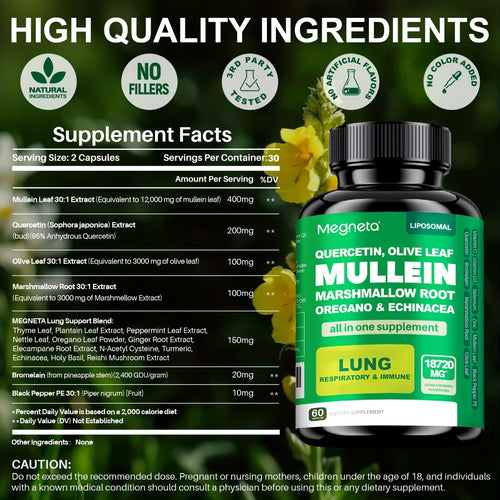 https://img.kwcdn.com/product/algo_check/auto/7092b6ec0c0018cee3afffd0d9b6cdaa_1758901578414.jpg