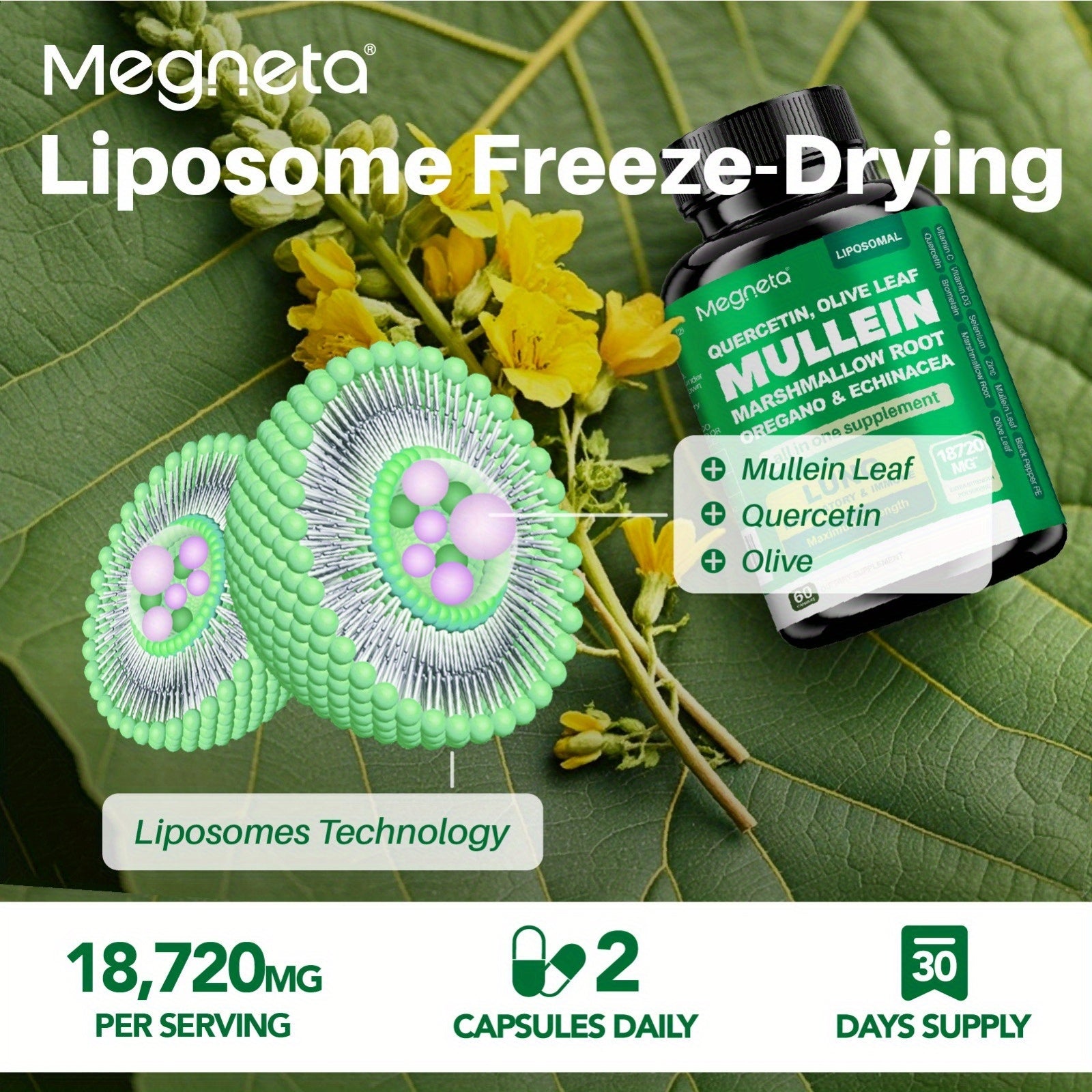 https://img.kwcdn.com/product/fancy/846c8331-42a2-42e2-b80c-0f7b93aa1dcc.jpg